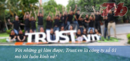 Công ty thiết kế web uy tín Trust.vn