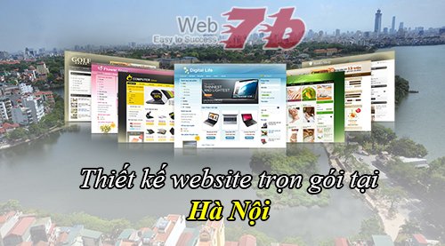 Thiết kế web trọn gói giá rẻ Hà Nội thanh toán trực tuyến